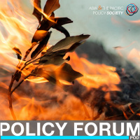 Beyond declaring a climate emergency