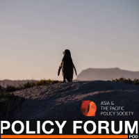 A penguin gets lost in the Australian desert