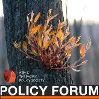 Learning from the Black Summer