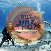 Episode 26: Shark Week Matters...But Why Tho?