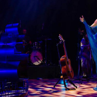 Victoria Sur, una voz que describe el continente