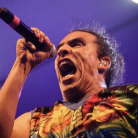 Systema solar, el colectivo del saber y la creación