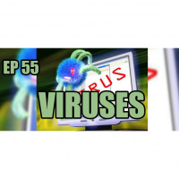 Vs The Net EP55 - Viruses
