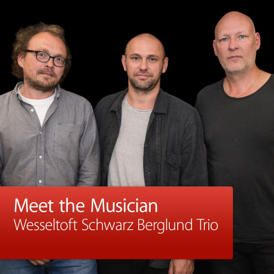 Wesseltoft Schwarz Berglund Trio: Meet The Musician