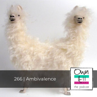 Own It! 266 | Ambivalence