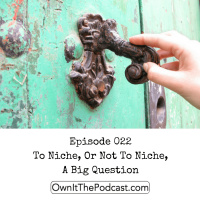 Own It! 022 | To Niche, Or Not To Niche, A Big Question