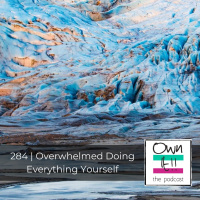 Own It! 284 | Overwhelmed Doing Everything Yourself