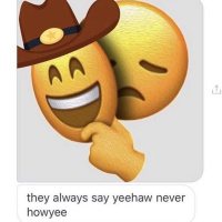 Whats the Opposite of YEEHAW?