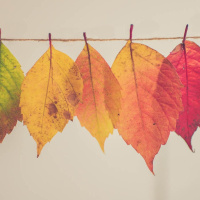 89: Its The Most TV-ful Time Of The Year!