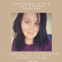 Changing the System from the Inside Out with Midwife Sheree Stewart