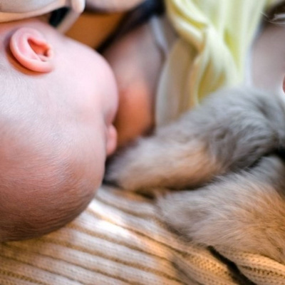 Pregnancy, Birth And Beyond