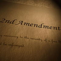 In Defense of the 2nd Amendment (Guest: Larry Correia)