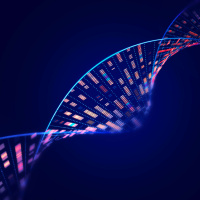 Milton Friedmans Vision: A ‘Plan for America’ and the Future of Entitlements