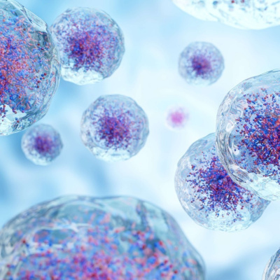 Heartland Daily Podcast