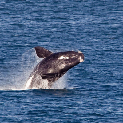 Heartland Daily Podcast