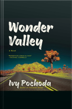 Wonder Valley: A Novel