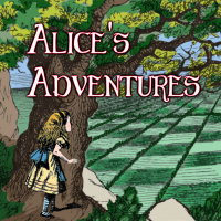 MSA031: Alice’s Adventures, Session 19