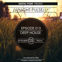 Digital Point - Night Pulse - Episode 013