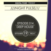 Digital Point - Night Pulse - Episode 014