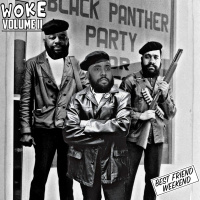Nothin NICE to Say: Woke Volume II