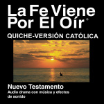 Quiche Biblia - Kiche Bible