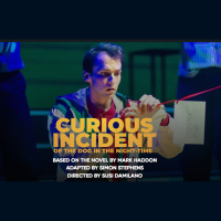 Review: “The Curious Incident of the Dog in the Night-Time” at San Francisco Playhouse