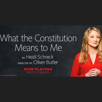 Review: What The Constitution Means to Me, at Berkeley Rep