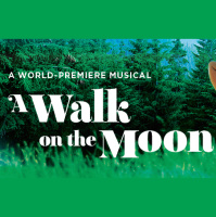 Review: A Walk on the Moon, at ACT Geary Theatre
