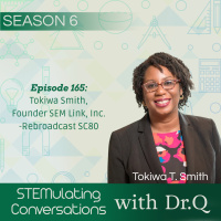 SC165: Tokiwa Smith, Founder SEM Link, Inc-Rebroadcast SC80