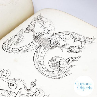 Curious Objects  The Stories Behind Them