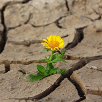 #197 How our Life feels vs How our life looks like to others