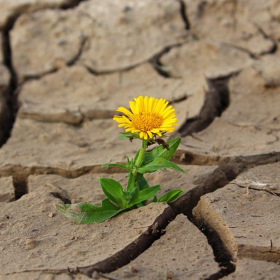 Vinod Narayan-be Content Be Penpositive