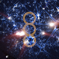 Neurokonstruktivistische Transaktionsanalyse