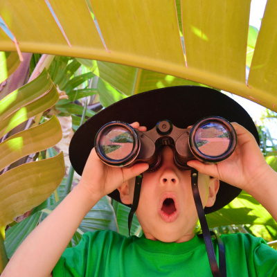 Transaktionsanalyse Fürs Ohr - Podcast