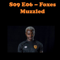 S09E06 - Foxes Muzzled
