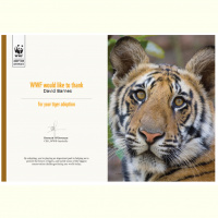 Email just is not sexy but it can be evil!