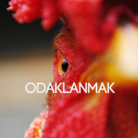 Bölüm-3 : Odaklanmak