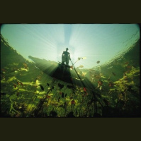 【朗诵】《教我在游泳池里装死的男生》-倒吊男