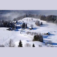 【朗诵】下雪了,一切都那么平静…(倒吊男)