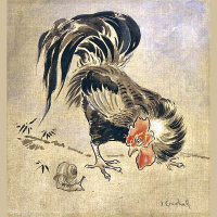 动物_农场 公鸡 rooster