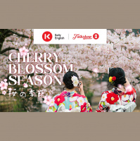Cherry Blossom Season 桜の季節
