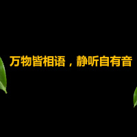 宋传奎:万物皆相语 静听自有音——茶叶合成出的香气是为了取悦人类吗
