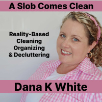 102 – Realities of Hiring a Cleaner Podcast