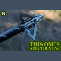 Episode 14 - This Ones About Hunting