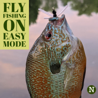 19. Fly Fishing on Easy Mode