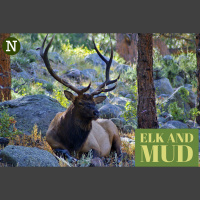 Episode 9 - Elk  Mud