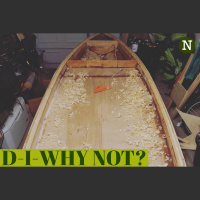 Episode 15 - D-I-Why Not?