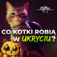 Kot, który nauczył mnie być człowiekiem | STRAY