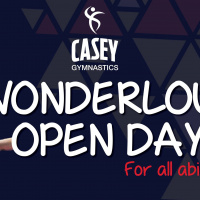 Its a Wonderlous Life!