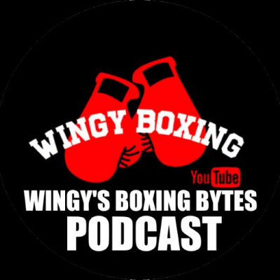Wingys Boxing Bytes